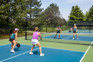 best pickleball paddles for advanced players