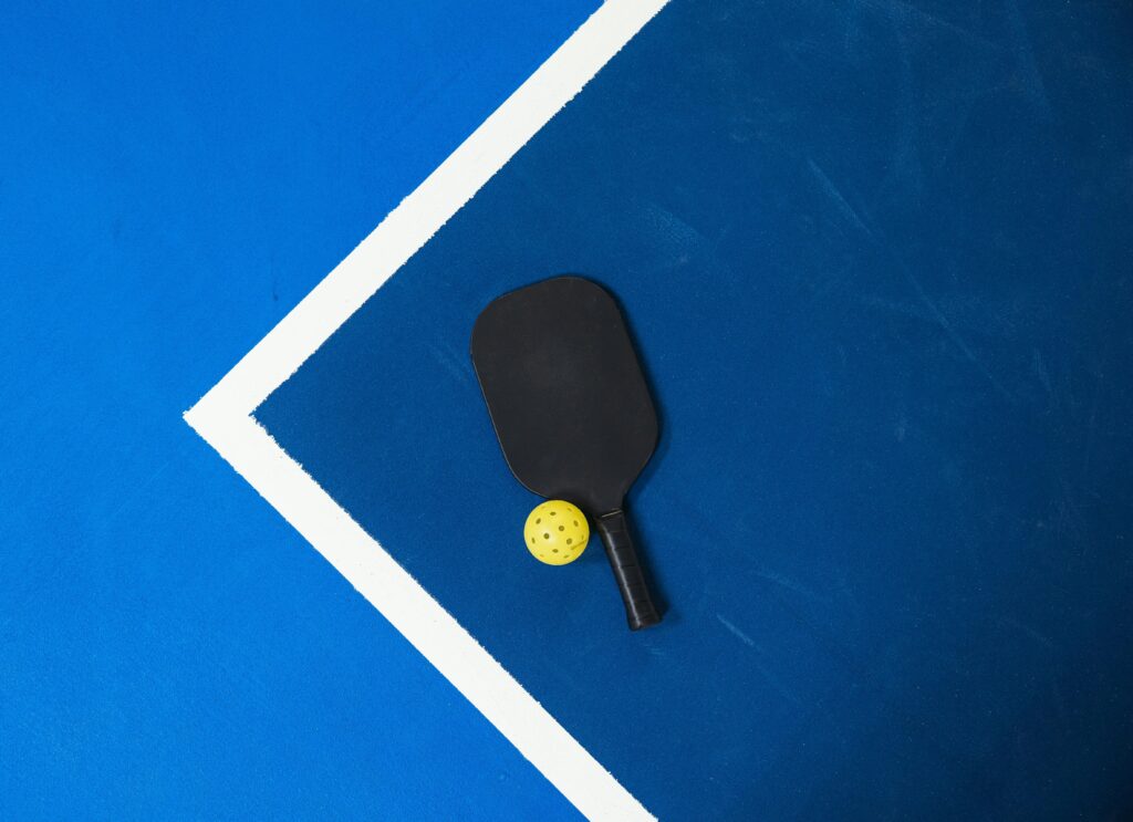 professional pickleball paddle