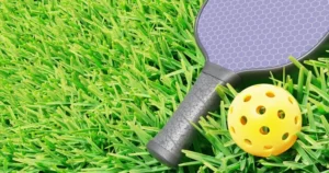 top rated pickleball paddles